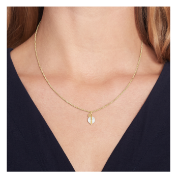 COLAR TOMMY HILFIGER