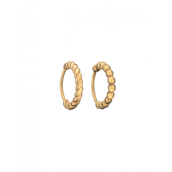 Brincos Anjewels  Beautiful Dourados Argolas Dif.