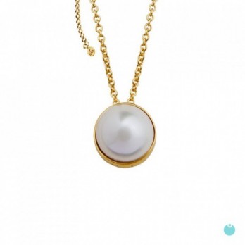 COLAR  PRATA DOURADA LINK