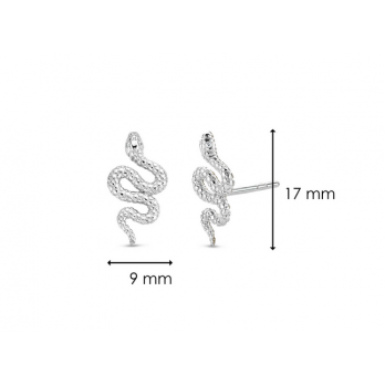 BRINCOS PRATA TI SENTO