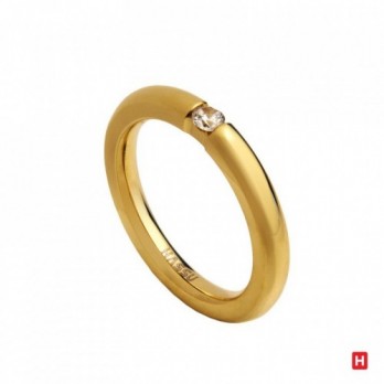 Aliança Hassu Classic Golden Shine