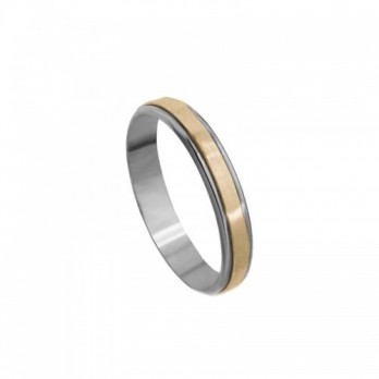 Aliança Bodas Passion Gold 9k