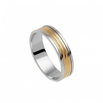 Aliança Bodas Passion Gold 9k