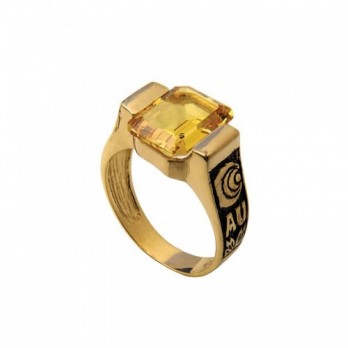 Anel de Curso Passion Gold 19k