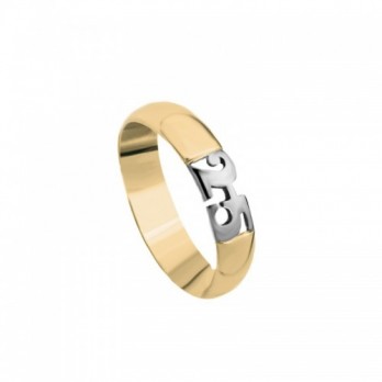 Aliança Bodas Prata Passion Gold 9k