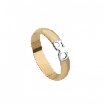 Aliança Bodas Ouro Passion Gold 9k