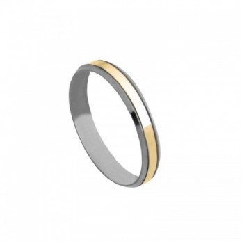 Aliança Bodas Passion Gold 9k